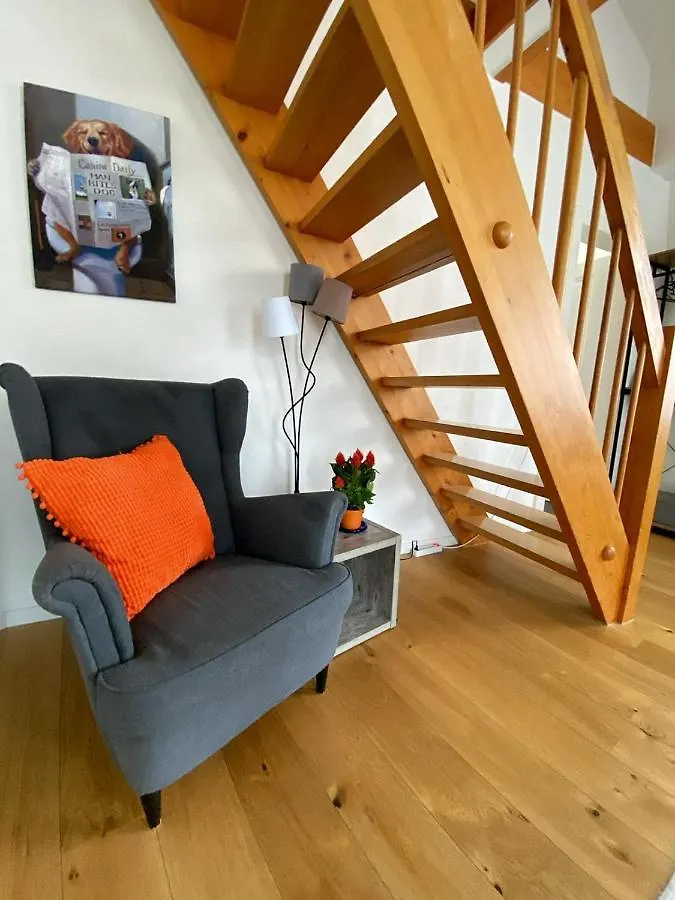 Stylish Two-Floor Apartment In A Heart Of Basilea 0*,
