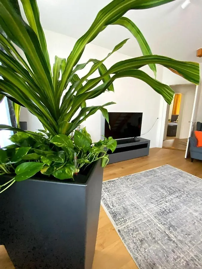 Stylish Two-Floor Apartment In A Heart Of Basilea Svizzera