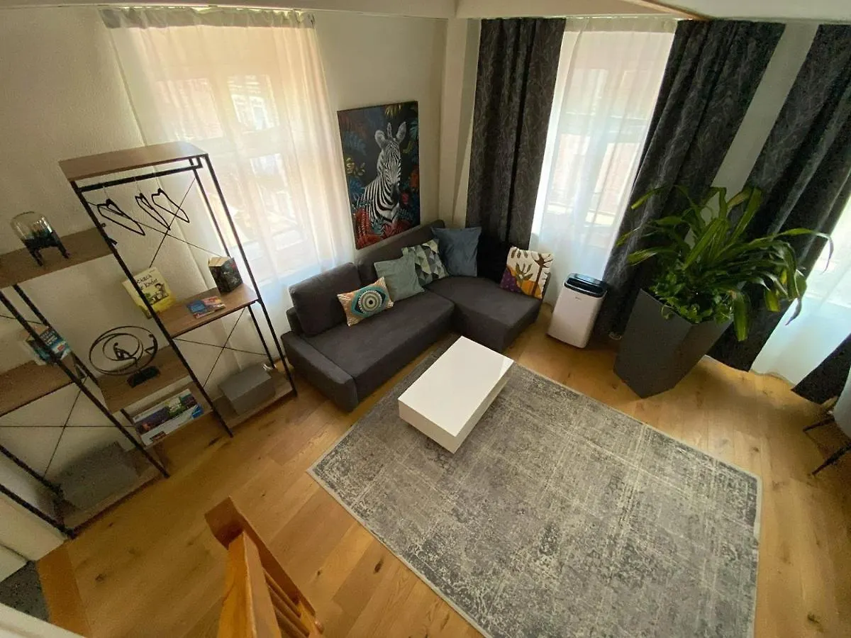 Stylish Two-Floor Apartment In A Heart Of Basel Switzerland