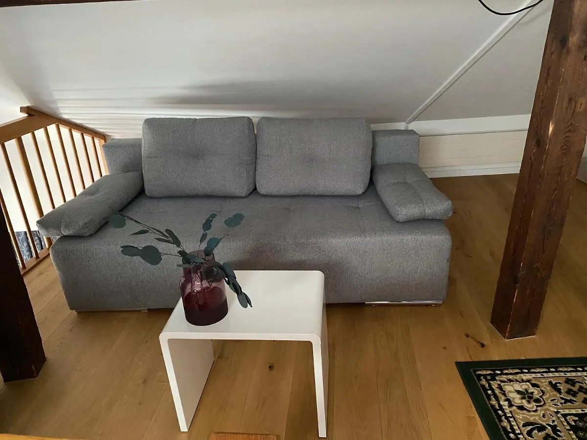 Stylish Two-Floor Apartment In A Heart Of Basilea Svizzera